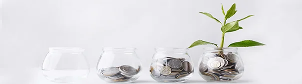 Feature_potted coins