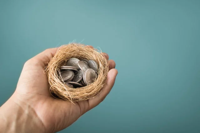 Hand holding coins in birds nest.