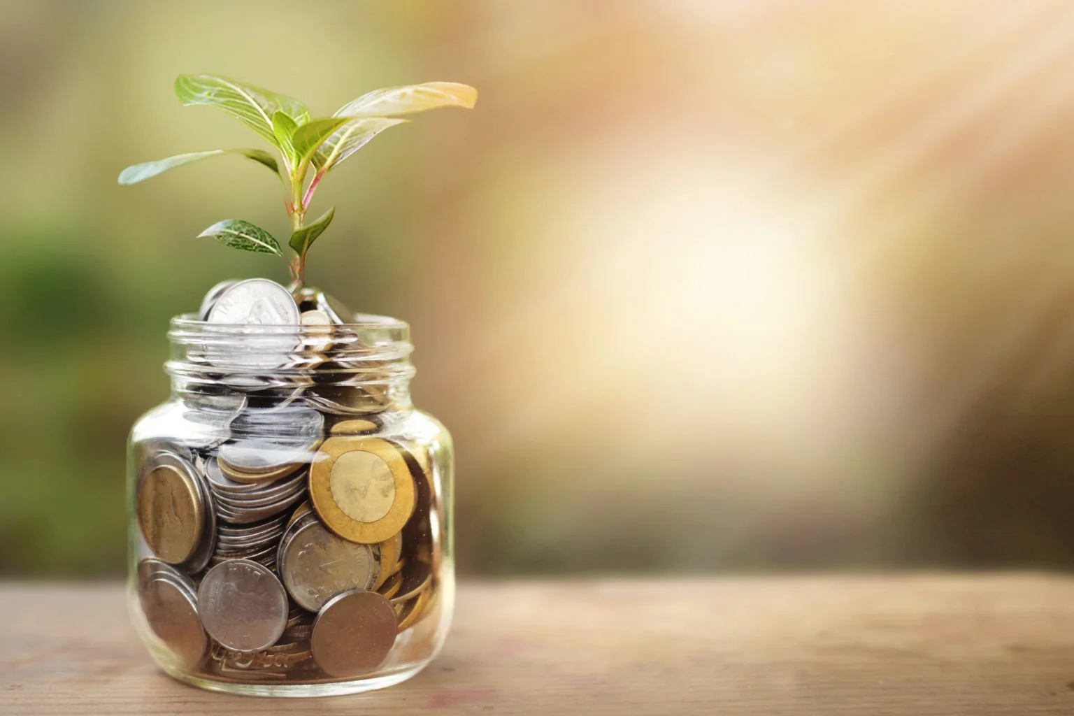 financial saving concept – plant growing out of coins