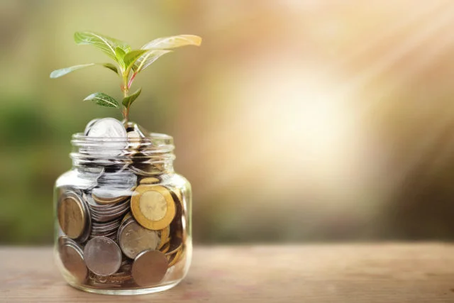 financial saving concept – plant growing out of coins